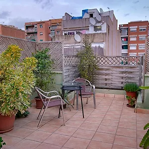 3* Guest house Kamelly